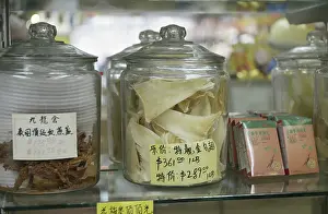Shelf: Shark Fin Trade