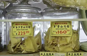 Shelf: Shark Fin Trade
