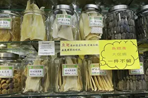 Shelf: Shark Fin Trade