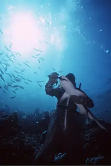 Show: SHARK show with scuba divers for overseas tourists