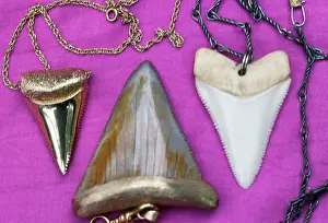 Necklace: Shark Teeth - jewellery