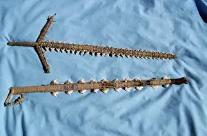 Sword: Shark - teeth sword