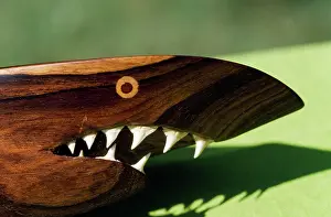 Souvenir: Shark Teeth - used in carving