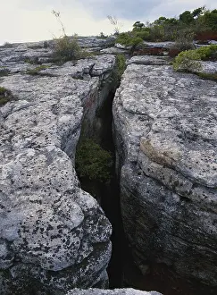 Fissured: Shawangunk Conglomerate, New York