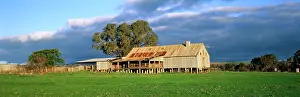 Shearing: Shearing shed south of Orange on the Orange-Mandurama