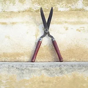Poise: Shears