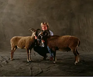 Owner: SHEEP - Castlemilk Moorit Rams, and owner