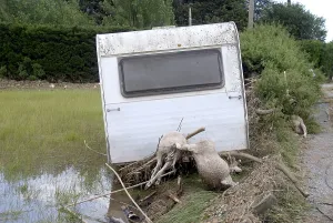 Destroy: Sheep dead after a flood in the Var France