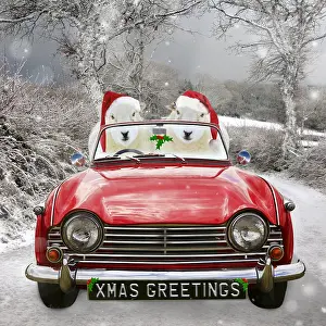 111020: Two sheep driving a red sports car in the snow wearing