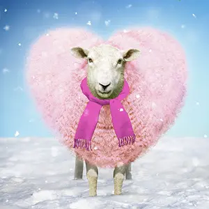 Scarves: Sheep Ewe