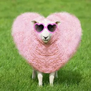 Glasses: Sheep - Ewe - pink heart shaped wearing heart shaped