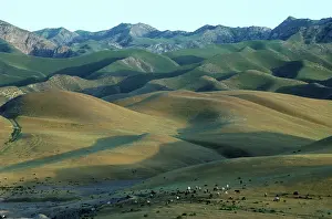 Slopes: Sheep graze on scarcely grassed slopes - foothills