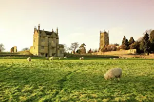 Manor: Sheep - grazing in field by the church and the