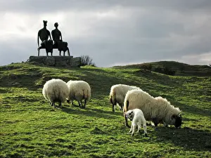 Moore: Sheep - grazing before the Henry Moore sculpture