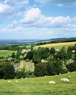 Snowshill: Sheep