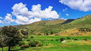 Hemisphere: Sheep ranch on the shore of Lake Wanaka, Otago