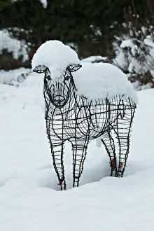 Metals: Sheep statue in a garden under snow