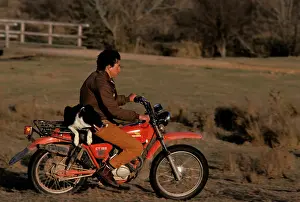 Motorbike: Sheepdog on back of motorbike (Canis familiaris)
