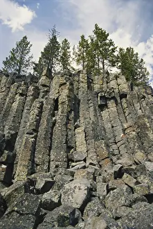 Basaltic: Sheepeater Cliffs, Yellowstone