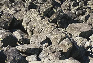 Basaltic: Sheepeater Cliffs, Yellowstone