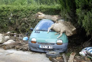 Mode: Sheeps dead after a flood in the Var France