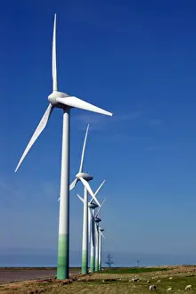 Lanes: Sheeps grazing in a polder under windmills Germany