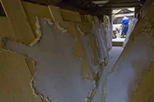 Lanes: Sheepskin Tannery Chartreuse Rougy France