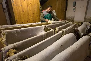 Lanes: Sheepskin Tannery Chartreuse Rougy France