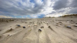 Seashell: Shells in wind swept sand on desolate island, Waddensea