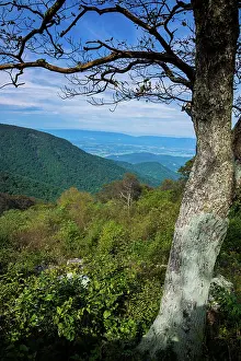 Vista: Shenandoah vista, Blue Ridge Parkway, Smoky Mountains, USA