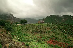 Balagne: Shepherd's Hut