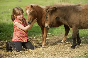 Minature: Shetland Ponies - With young girl