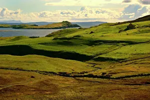 Magnus: Shetland Scenery - green rolling hills with grazing