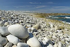 Shingle: Shingle beach, Great island, Pleumeur-Bodou, C&, x134973;-d'A