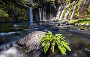 Honshu: Shiraito Waterfall, Fuji-Hakone-Izu National Park