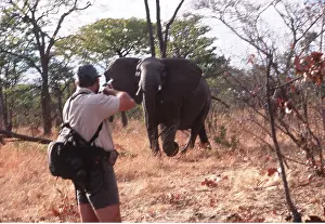 Hunter: SHOOTING - ELEPHANT HUNTER
