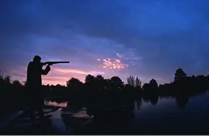 Hunter: SHOOTING - Hunter in Sologne, France