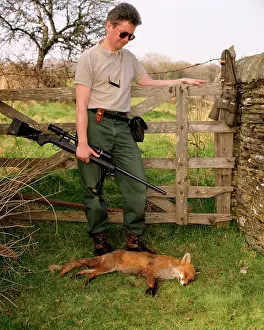 Anthony Harrison: Shooting - hunter standing by dead fox, with rifte