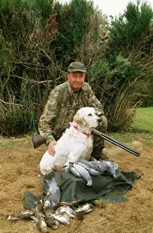 Guns: SHOOTING - man & dog with dead pigeons & songbirds
