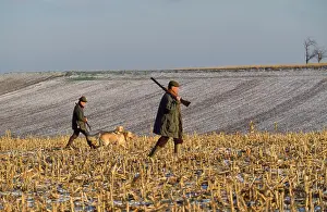 Guns: Shooting - men & dogs crossing field