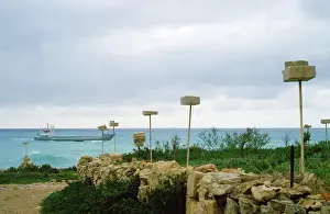 Malta: Shooting perches - for migrant birds to be shot at
