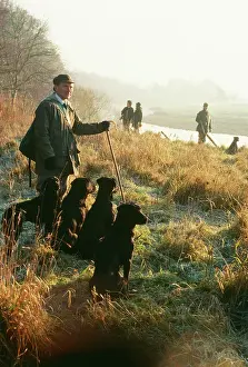 Guns: SHOOTING - pheasant shoot, keeper and labradors