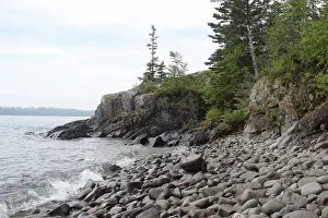 Forrest: Shore of Isle Royale
