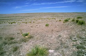 Midwest: Short grass prairie, Kansas