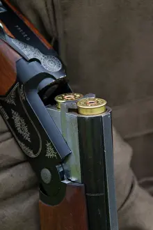 Guns: Shotgun with small-shot cartridge hunting Germany