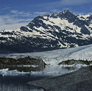 Terminal: Shoup Glacier