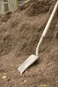 Chip: Shovel