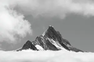 Grindelwald: Shreckhorn summit, 3741 m. from Faulhorn
