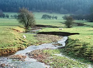 Unspoilt: SHROPSHIRE - River Usk in unspoilt sheep-grazed pastures