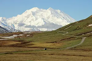 Shuttle: A shuttle bus from the Denali National Park and